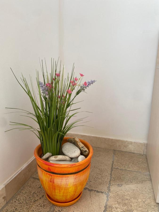 59 Kaliakria Seaview Luxury Apartment Topola Kültér fotó